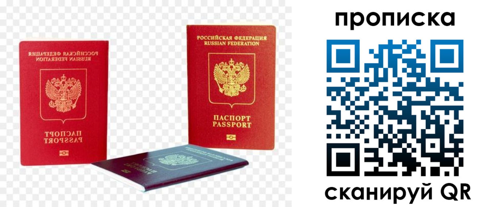 прописка 2025 в Кургане